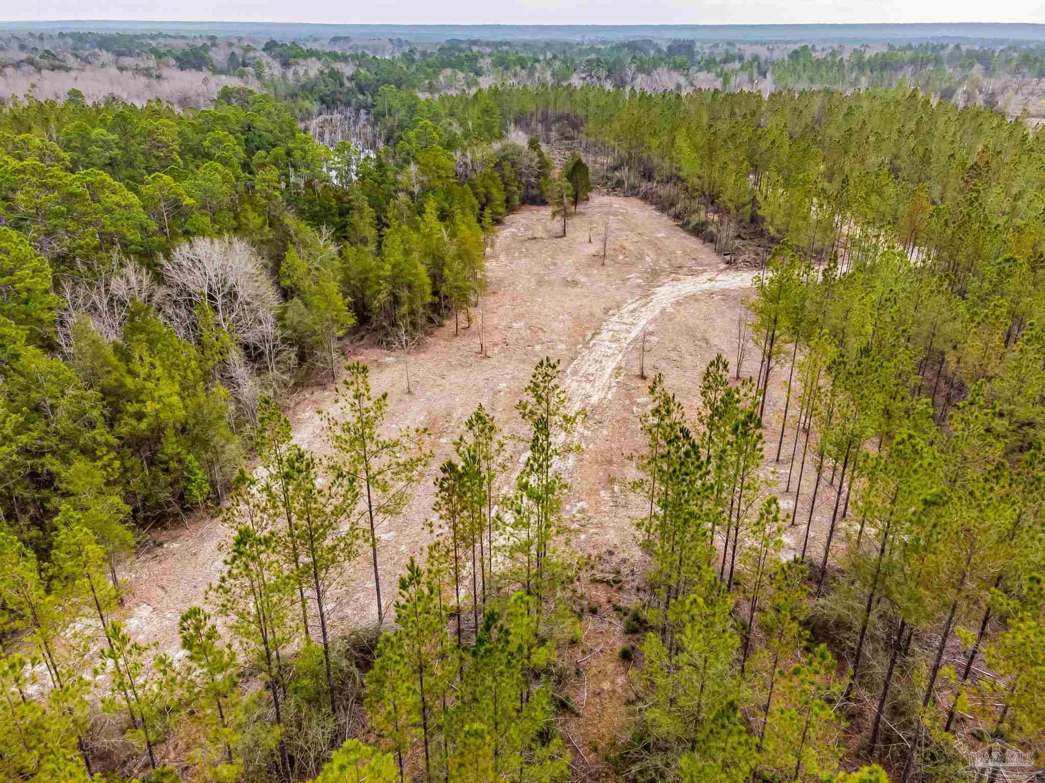 8997 Indian Ford Road, Unit 44 23 ACRES Milton, FL 32570 - Photo 41 of 55 a view of lake view and mountain view