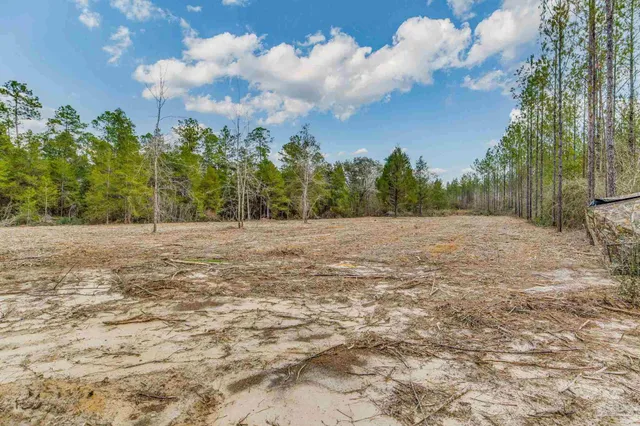 a view of empty field with trees in the background