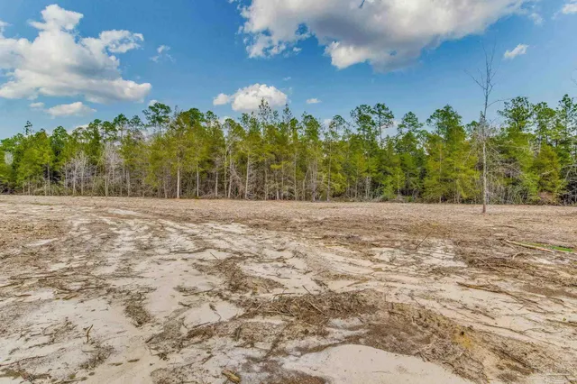 a view of dirt field with trees
