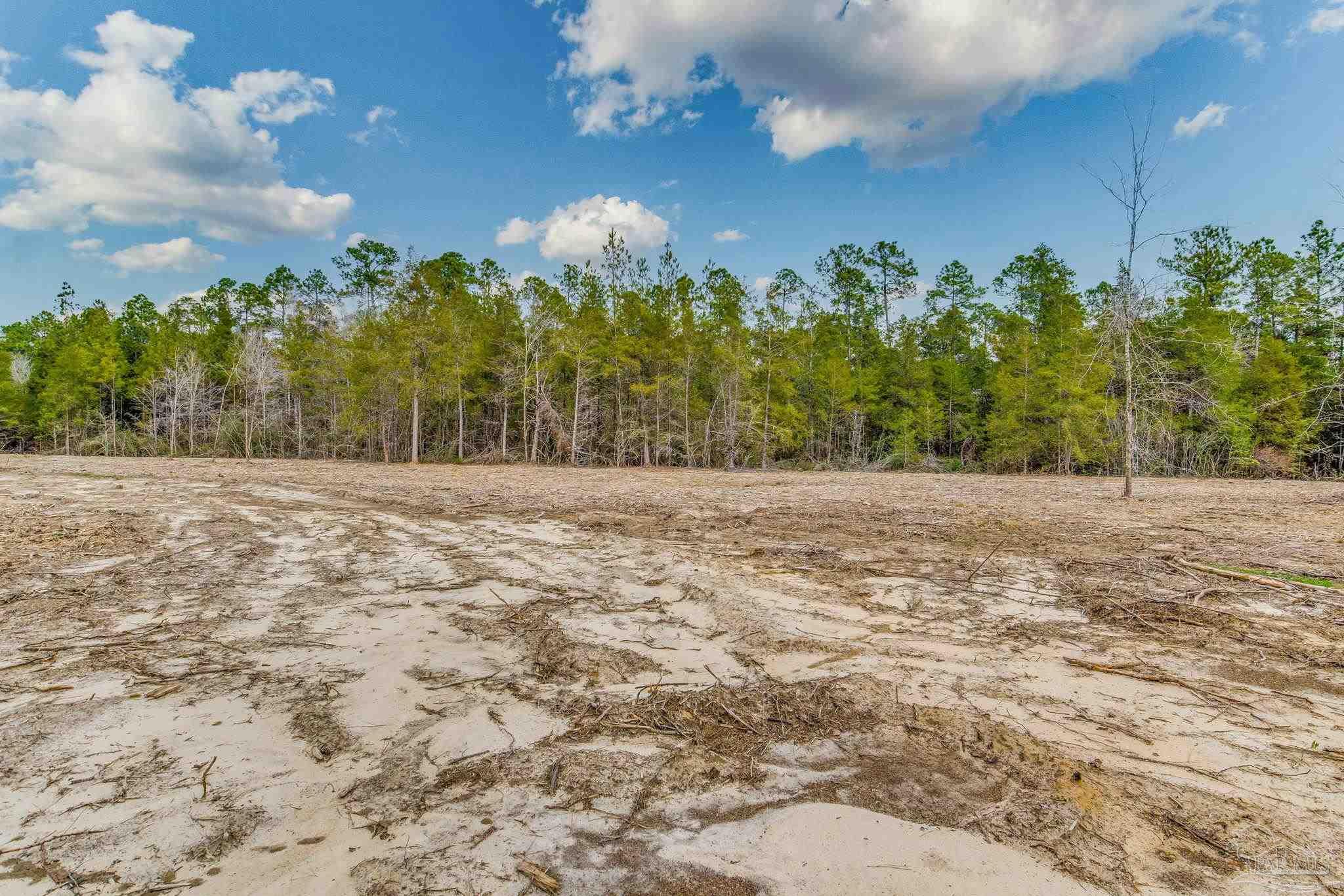 8997 Indian Ford Road, Unit 44 23 ACRES Milton, FL 32570 - Photo 43 of 55 a view of backyard with green space