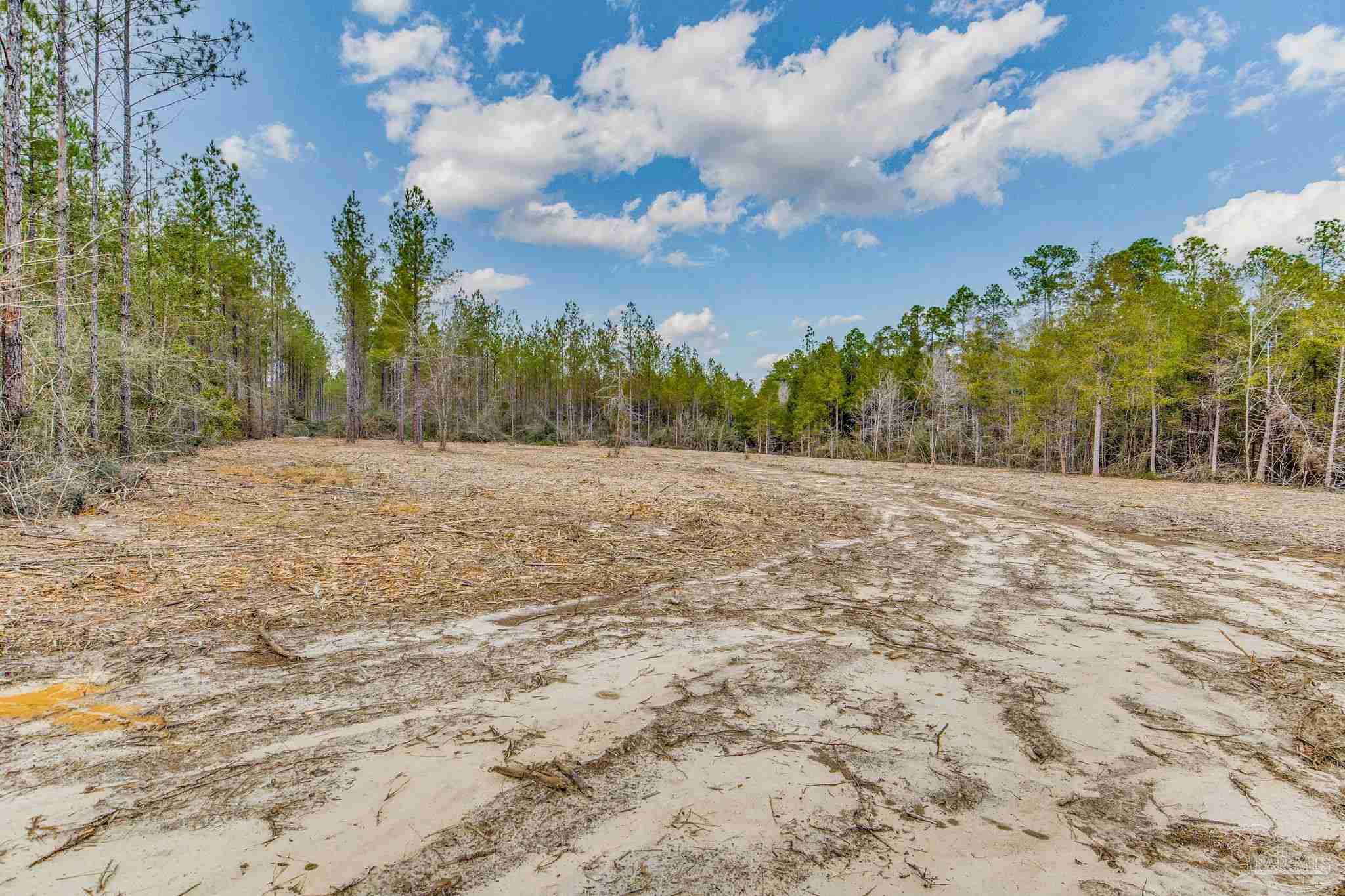 8997 Indian Ford Road, Unit 44 23 ACRES Milton, FL 32570 - Photo 44 of 55 a view of dirt field with trees