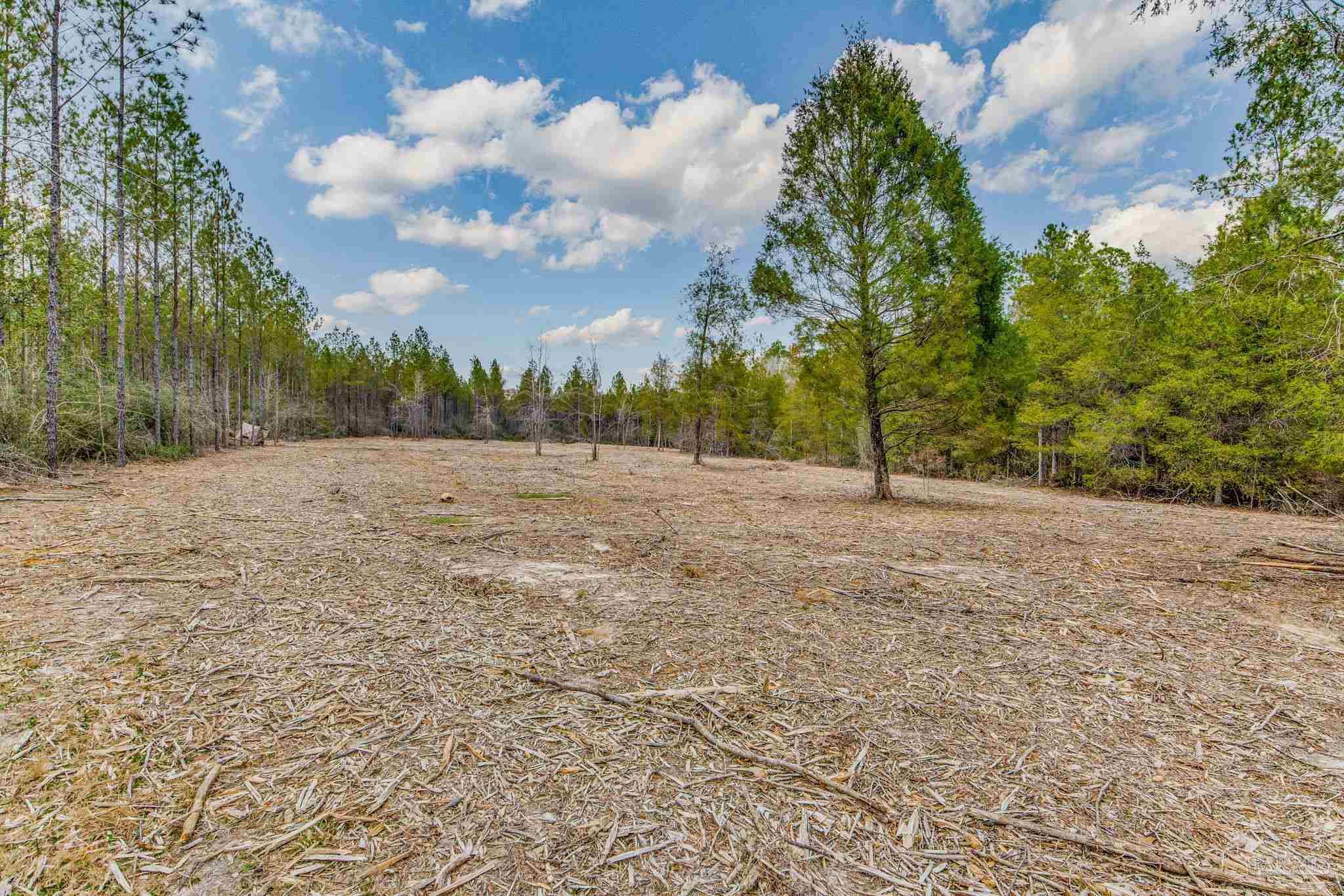 8997 Indian Ford Road, Unit 44 23 ACRES Milton, FL 32570 - Photo 45 of 55 a view of dirt field with trees
