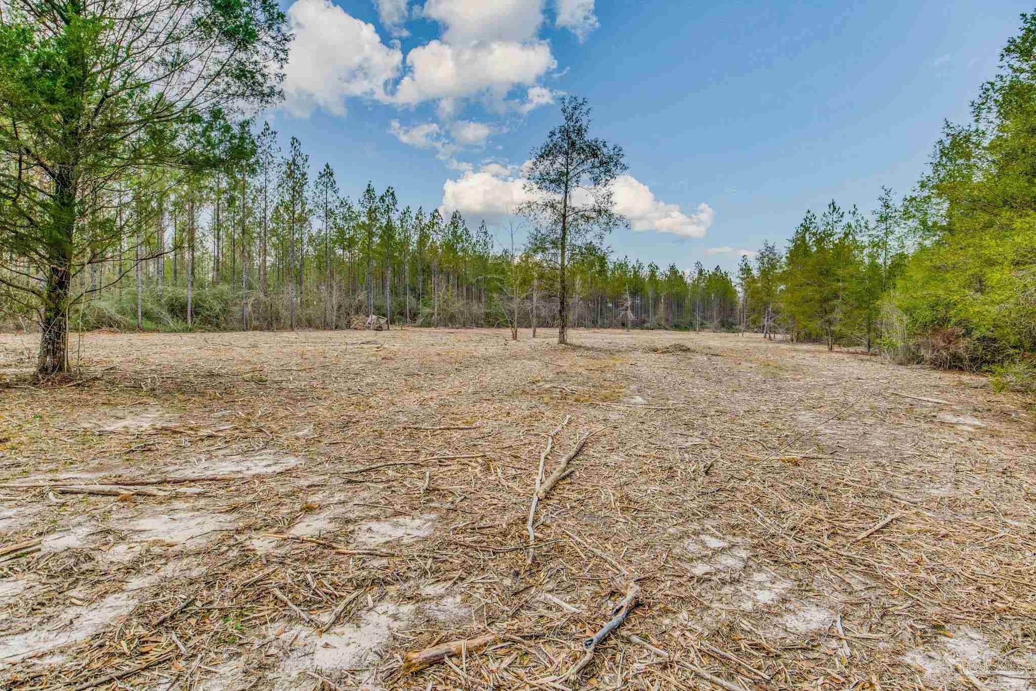 8997 Indian Ford Road, Unit 44 23 ACRES Milton, FL 32570 - Photo 46 of 55 a view of an empty room with trees