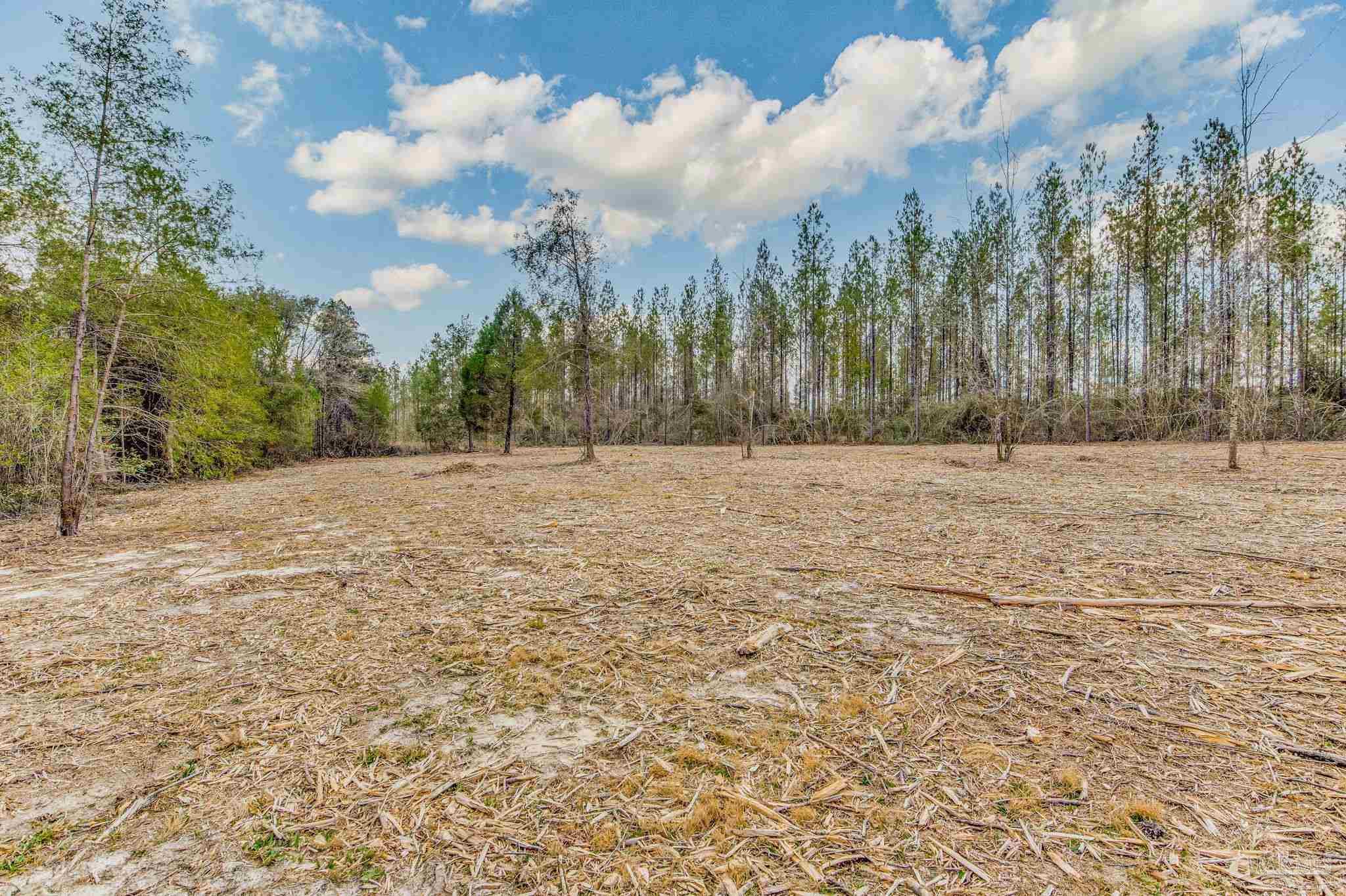 8997 Indian Ford Road, Unit 44 23 ACRES Milton, FL 32570 - Photo 47 of 55 a view of empty field with trees in the background