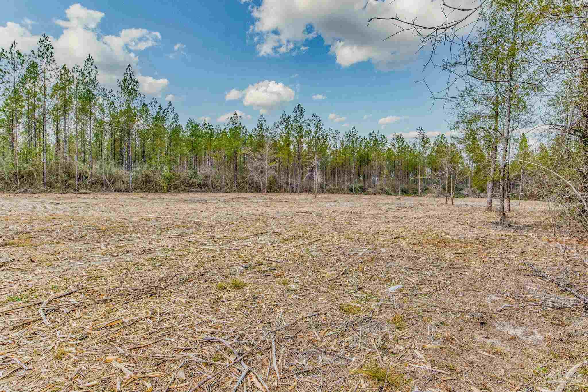 8997 Indian Ford Road, Unit 44 23 ACRES Milton, FL 32570 - Photo 48 of 55 a view of dirt field with trees