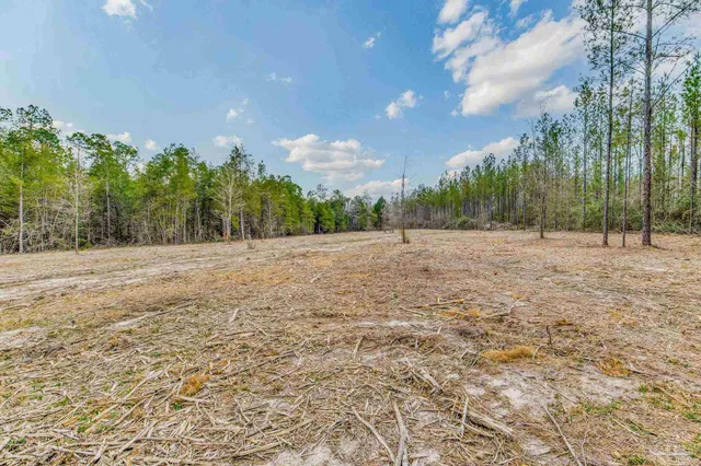 a view of backyard with green space