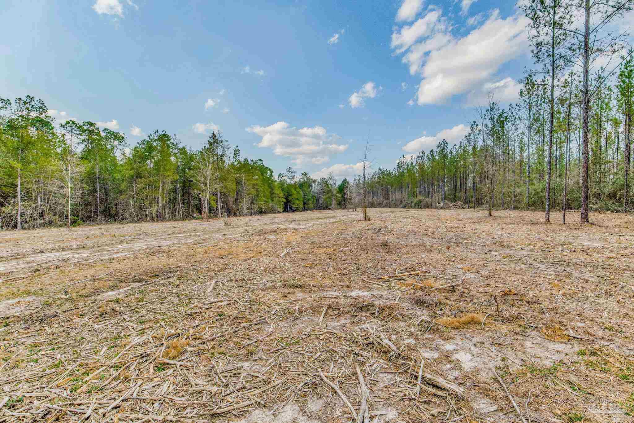 8997 Indian Ford Road, Unit 44 23 ACRES Milton, FL 32570 - Photo 50 of 55 a backyard of a house with lots of green space