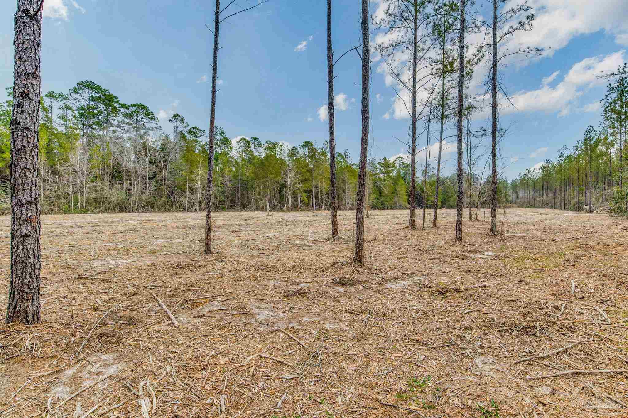 8997 Indian Ford Road, Unit 44 23 ACRES Milton, FL 32570 - Photo 51 of 55 a view of a road with a tree