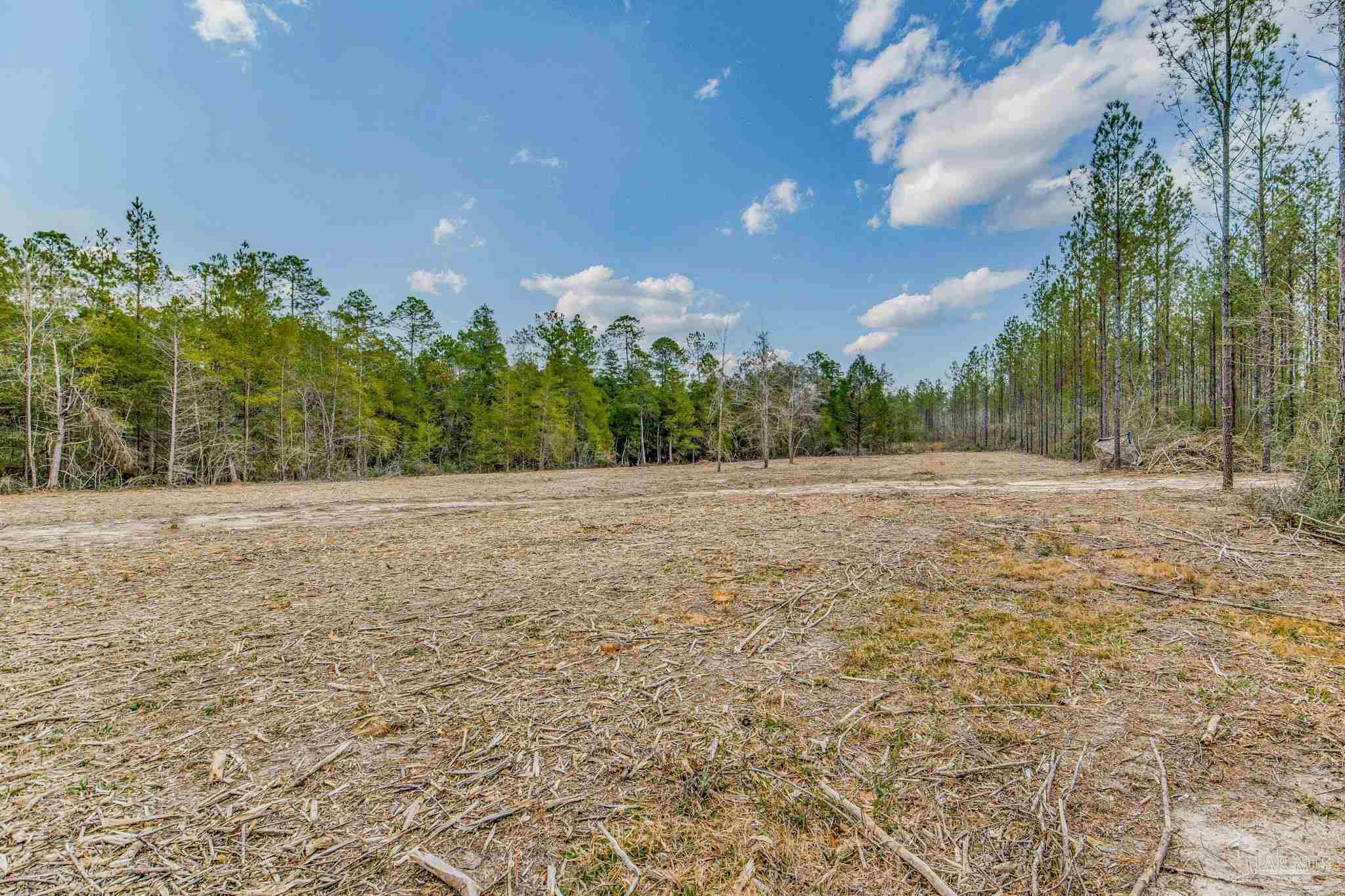 8997 Indian Ford Road, Unit 44 23 ACRES Milton, FL 32570 - Photo 52 of 55 a view of plants and trees
