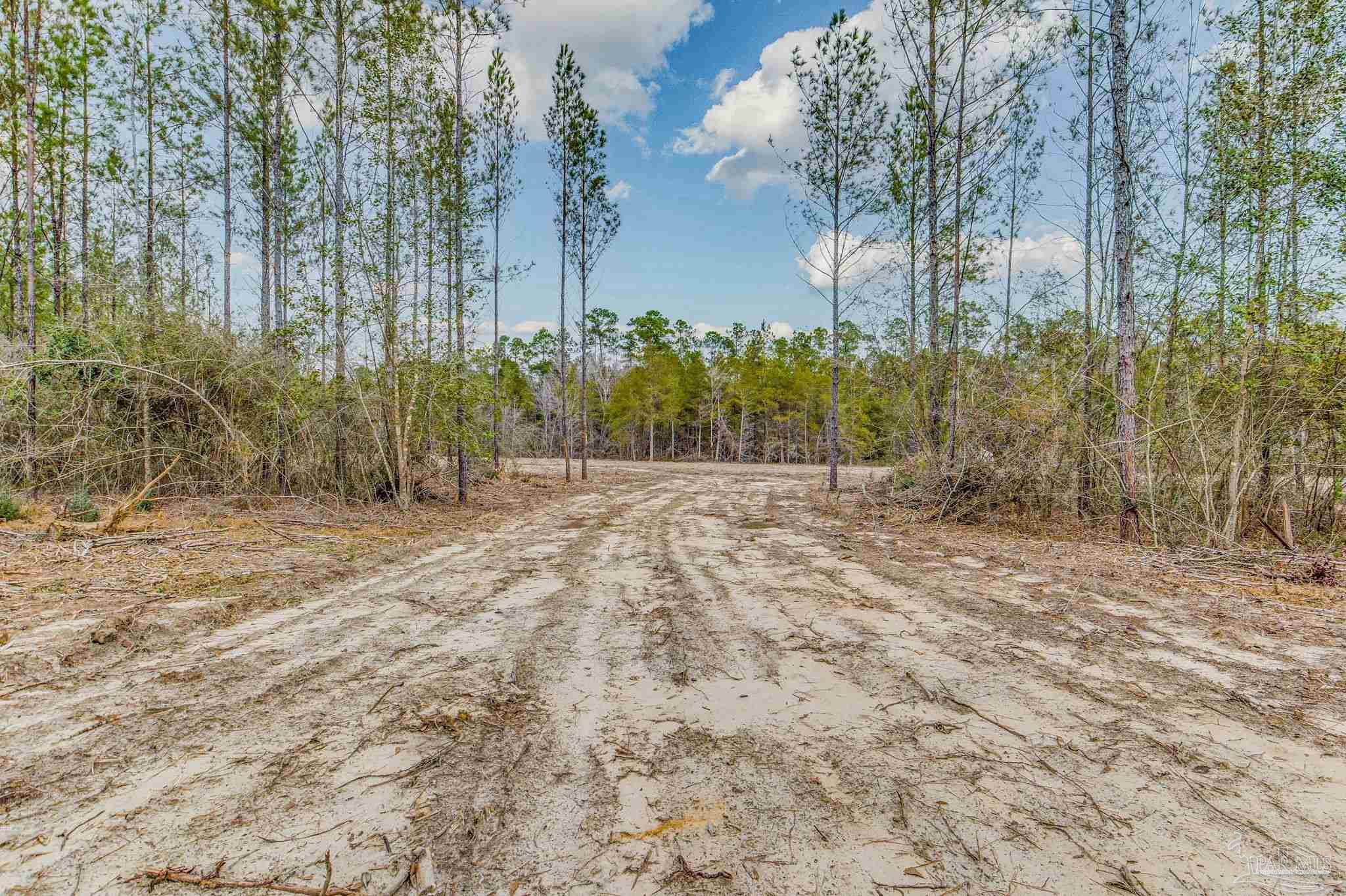 8997 Indian Ford Road, Unit 44 23 ACRES Milton, FL 32570 - Photo 54 of 55 a view of backyard with green space