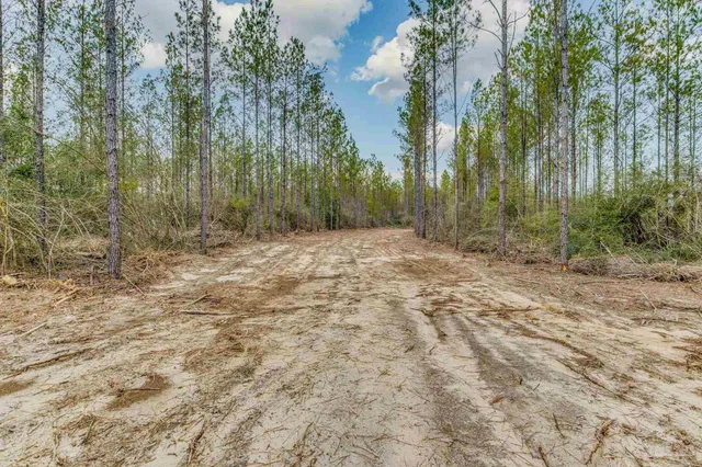$415,000 | 8997 Indian Ford Road, Unit 44 23 ACRES, Milton, FL 32570