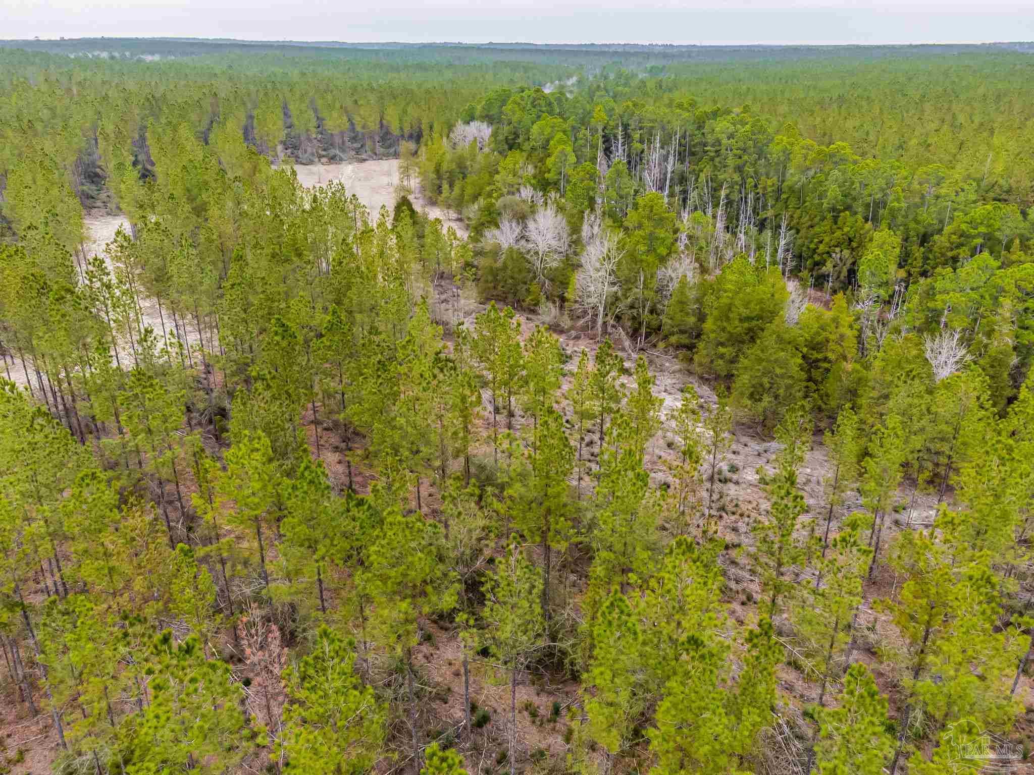 8997 Indian Ford Road, Unit 44 23 ACRES Milton, FL 32570 - Photo 9 of 55 a view of an outdoor space and a lake view