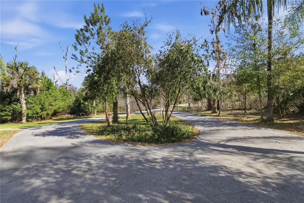 19040 Northwest 88th Avenue Road Reddick, FL 32686 - Photo 39 of 68 a view of backyard with green space
