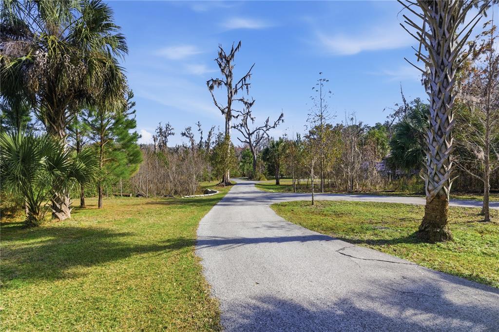 19040 Northwest 88th Avenue Road Reddick, FL 32686 - Photo 40 of 68