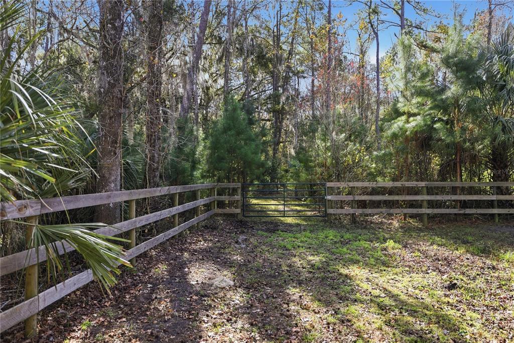 19040 Northwest 88th Avenue Road Reddick, FL 32686 - Photo 53 of 68 a view of backyard with wooden fence and trees