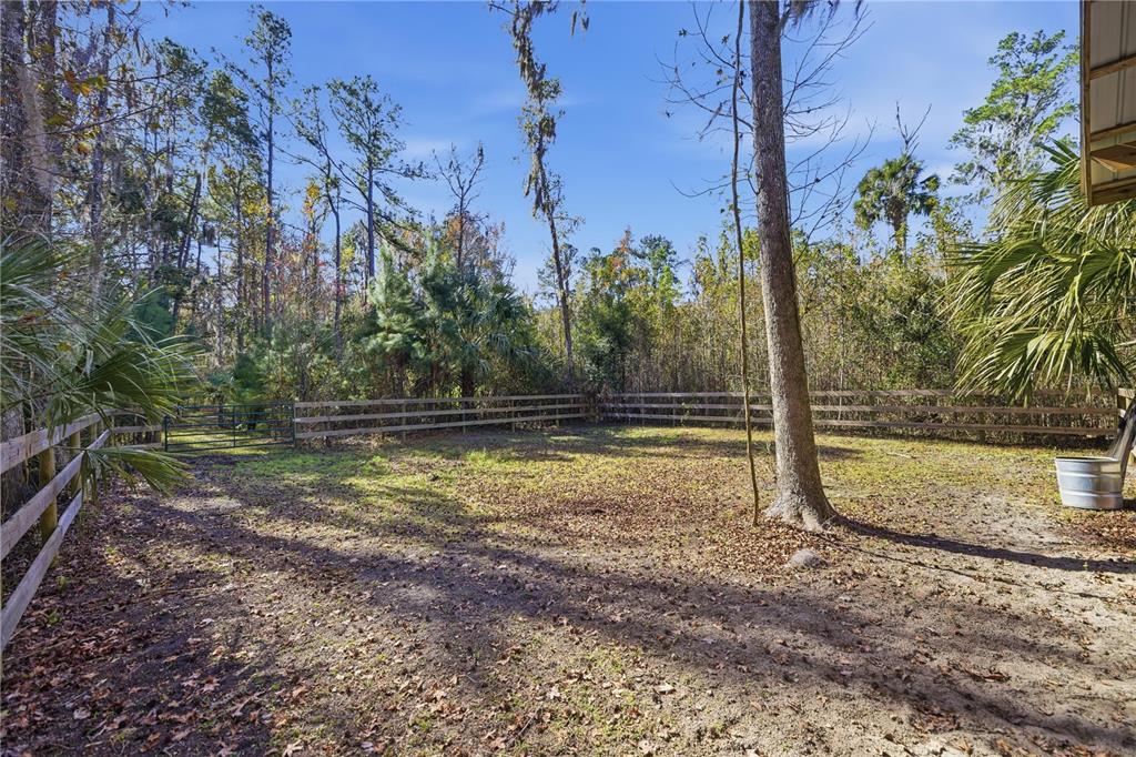 19040 Northwest 88th Avenue Road Reddick, FL 32686 - Photo 54 of 68