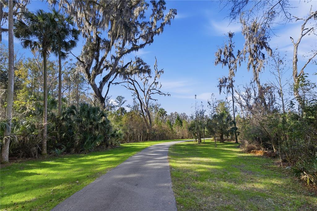 19040 Northwest 88th Avenue Road Reddick, FL 32686 - Photo 58 of 68 a view of a park