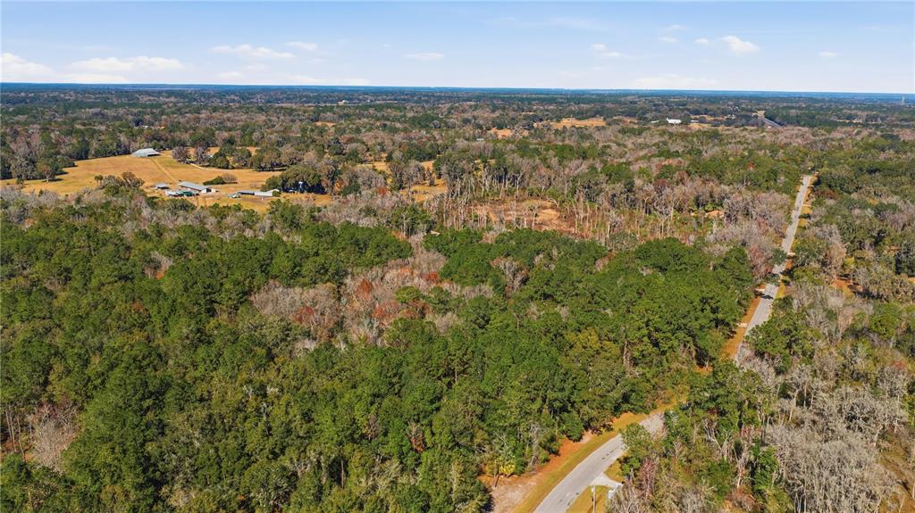 19040 Northwest 88th Avenue Road Reddick, FL 32686 - Photo 65 of 68 an aerial view of residential houses with outdoor space and trees