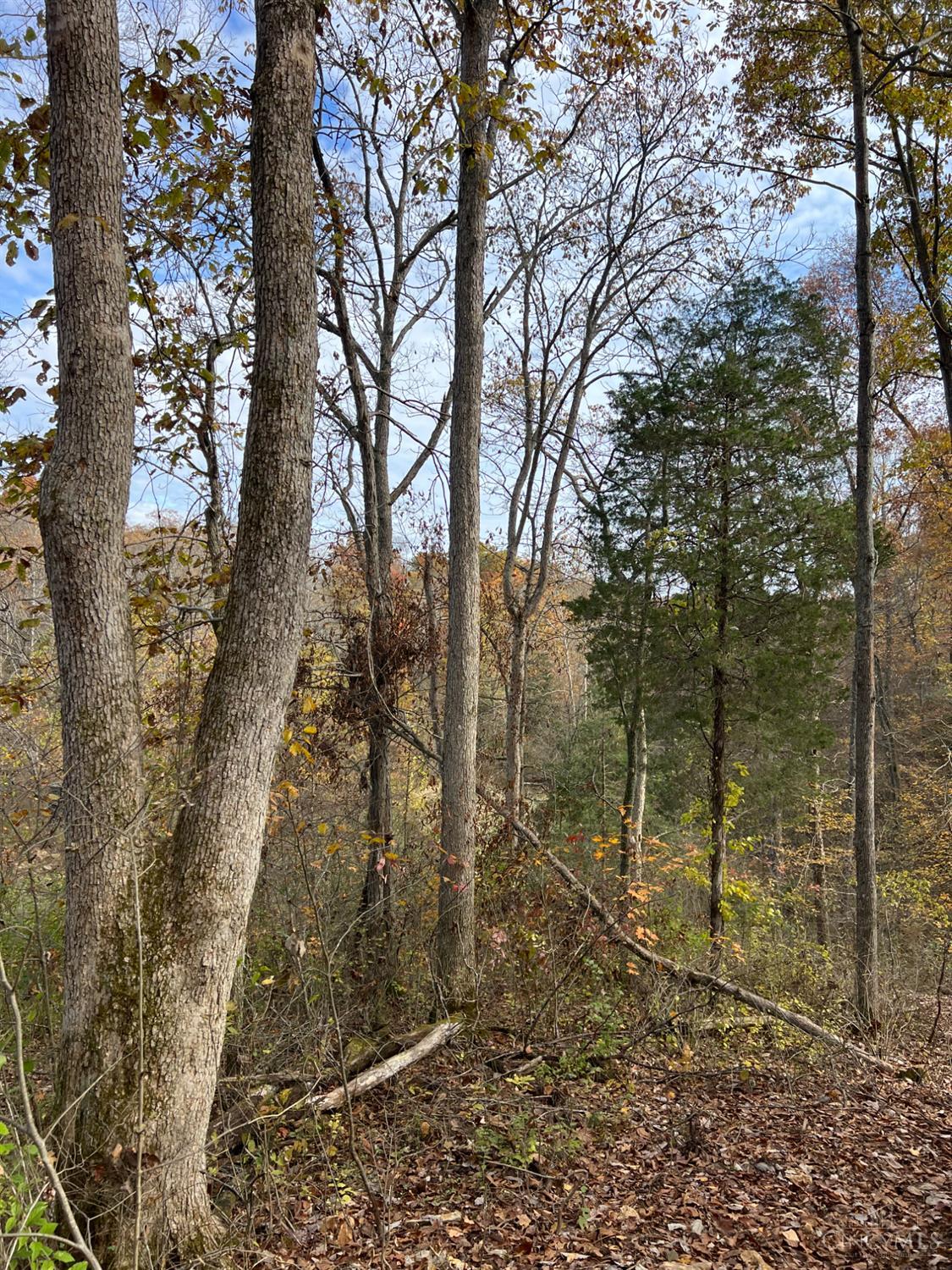 0 Harriet Road Hillsboro, OH 45133 - Photo 71 of 96