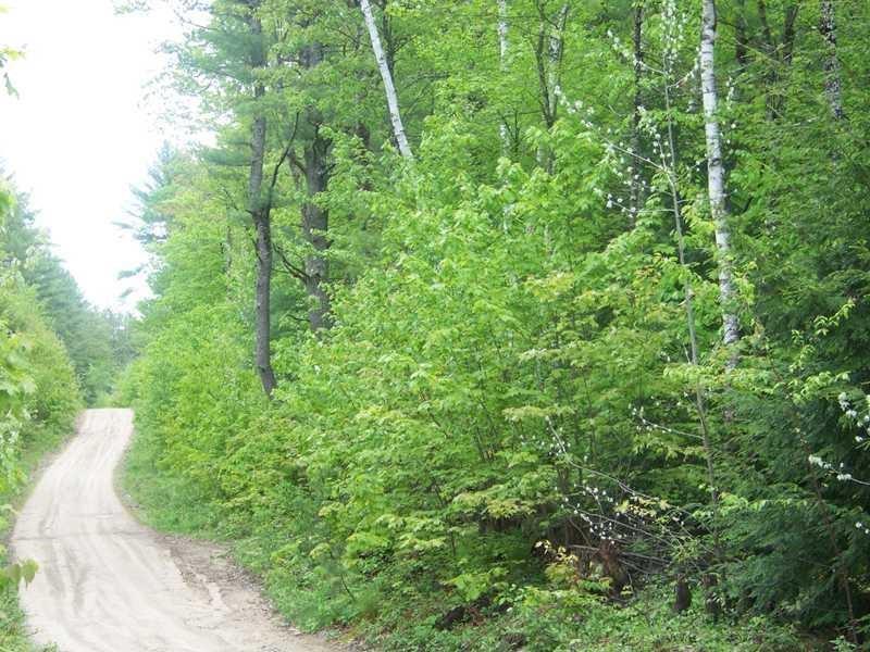 Lot 1 A Spring Road West Newfield, ME 04095 - Photo 11 of 16 Photo