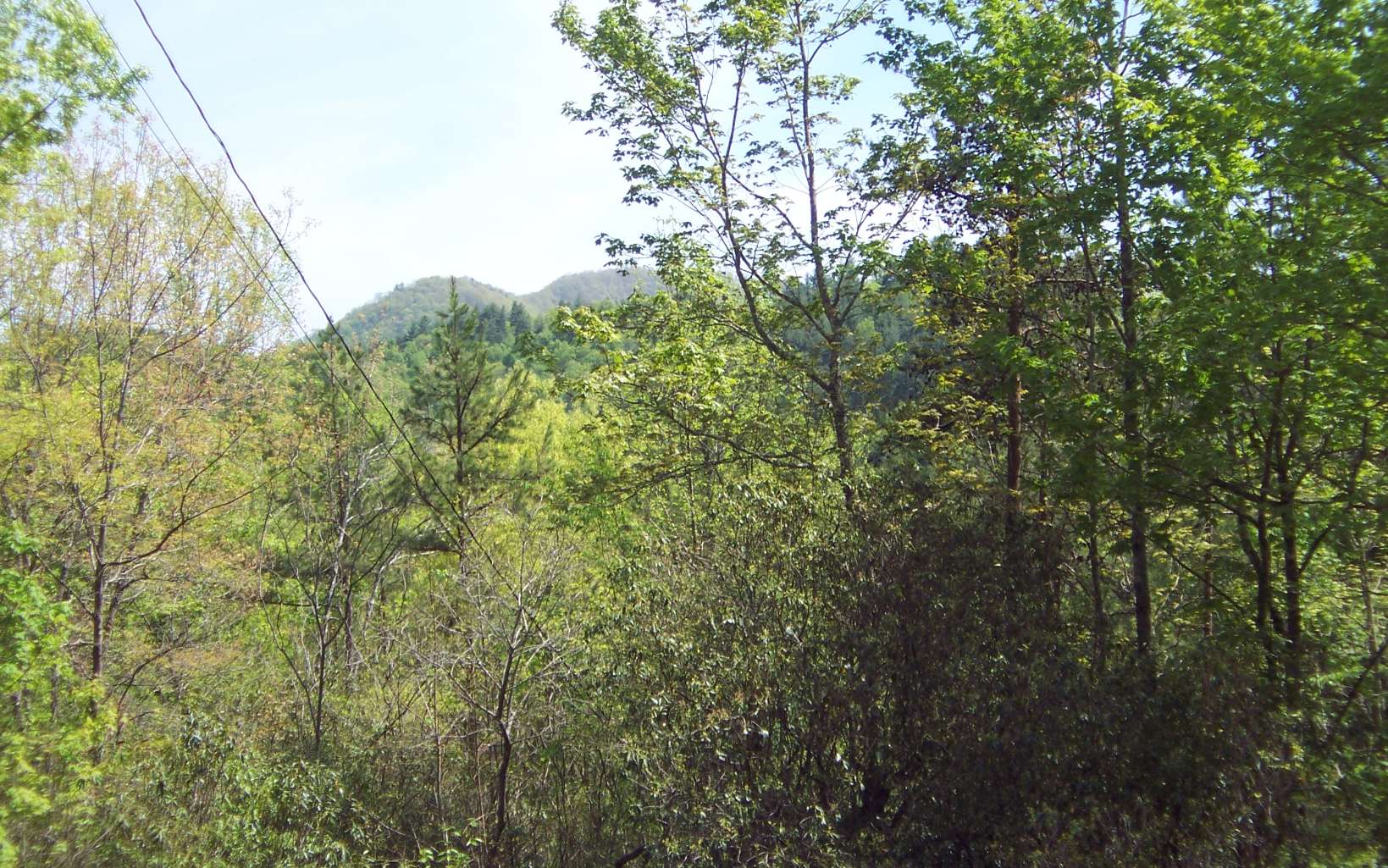 Lot 1 Long Branch Road Marble, NC 28905 - Photo 1 of 4 Main View