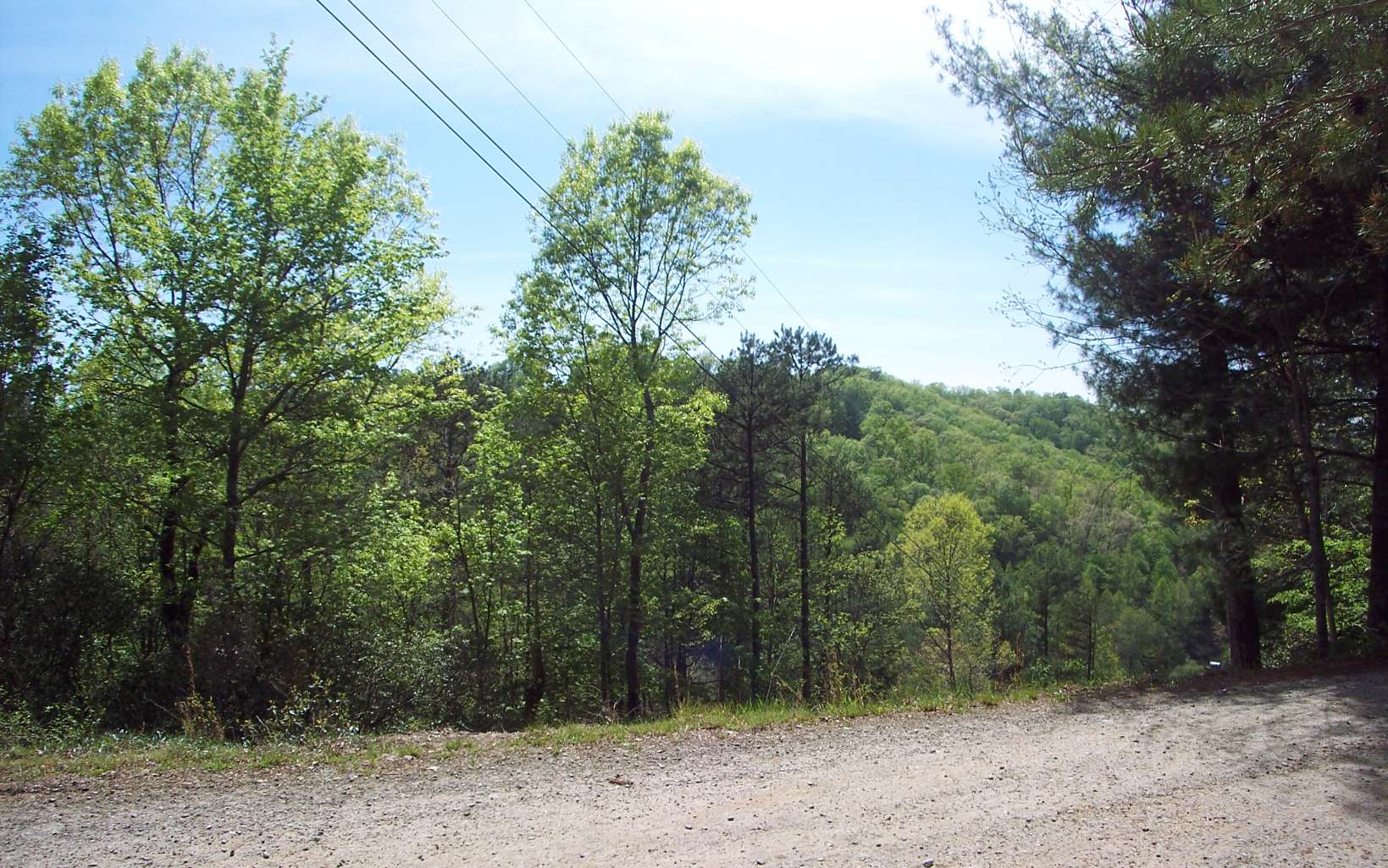 Lot 1 Long Branch Road Marble, NC 28905 - Photo 2 of 4 Additional View