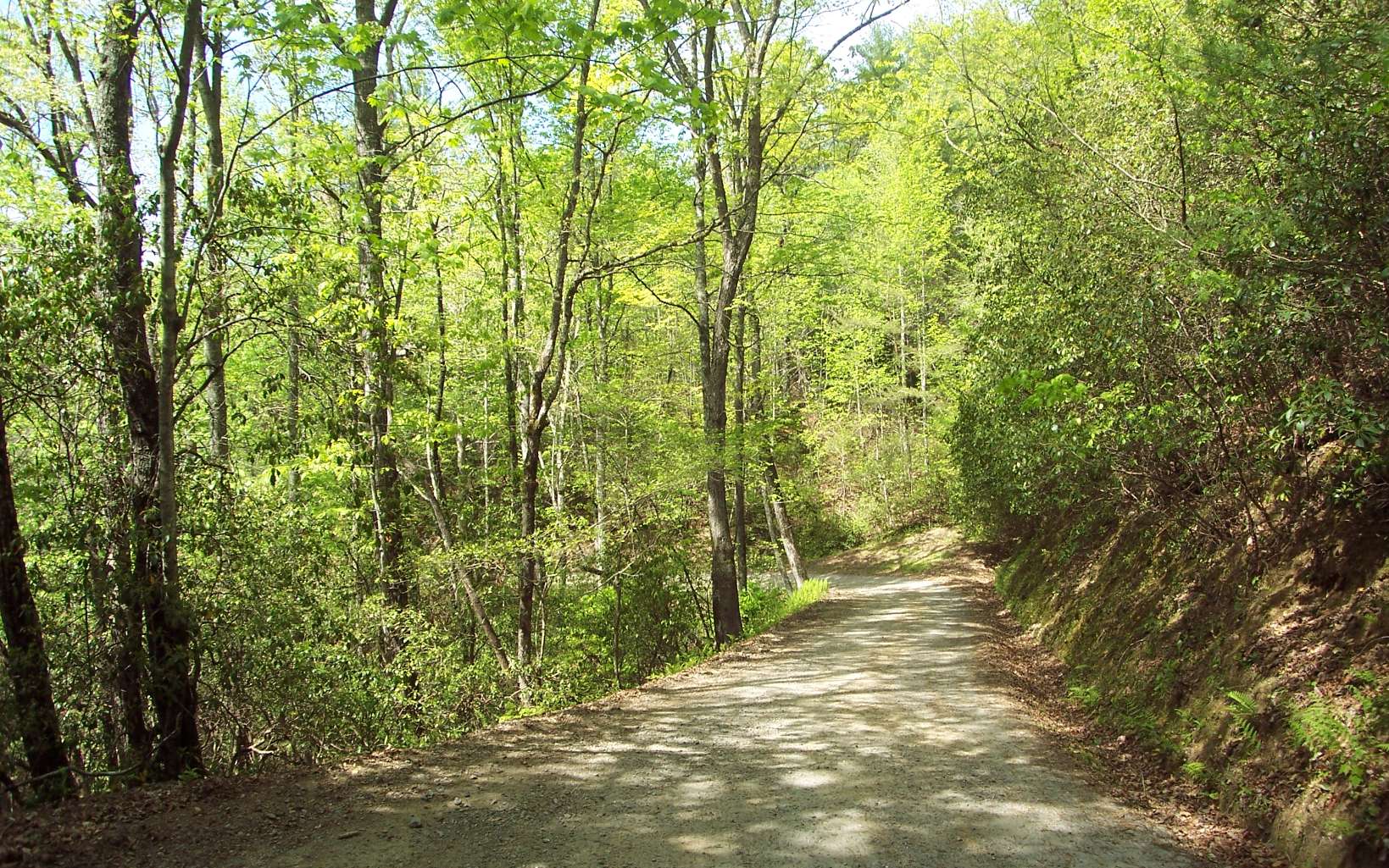 Lot 1 Long Branch Road Marble, NC 28905 - Photo 4 of 4 Additional View