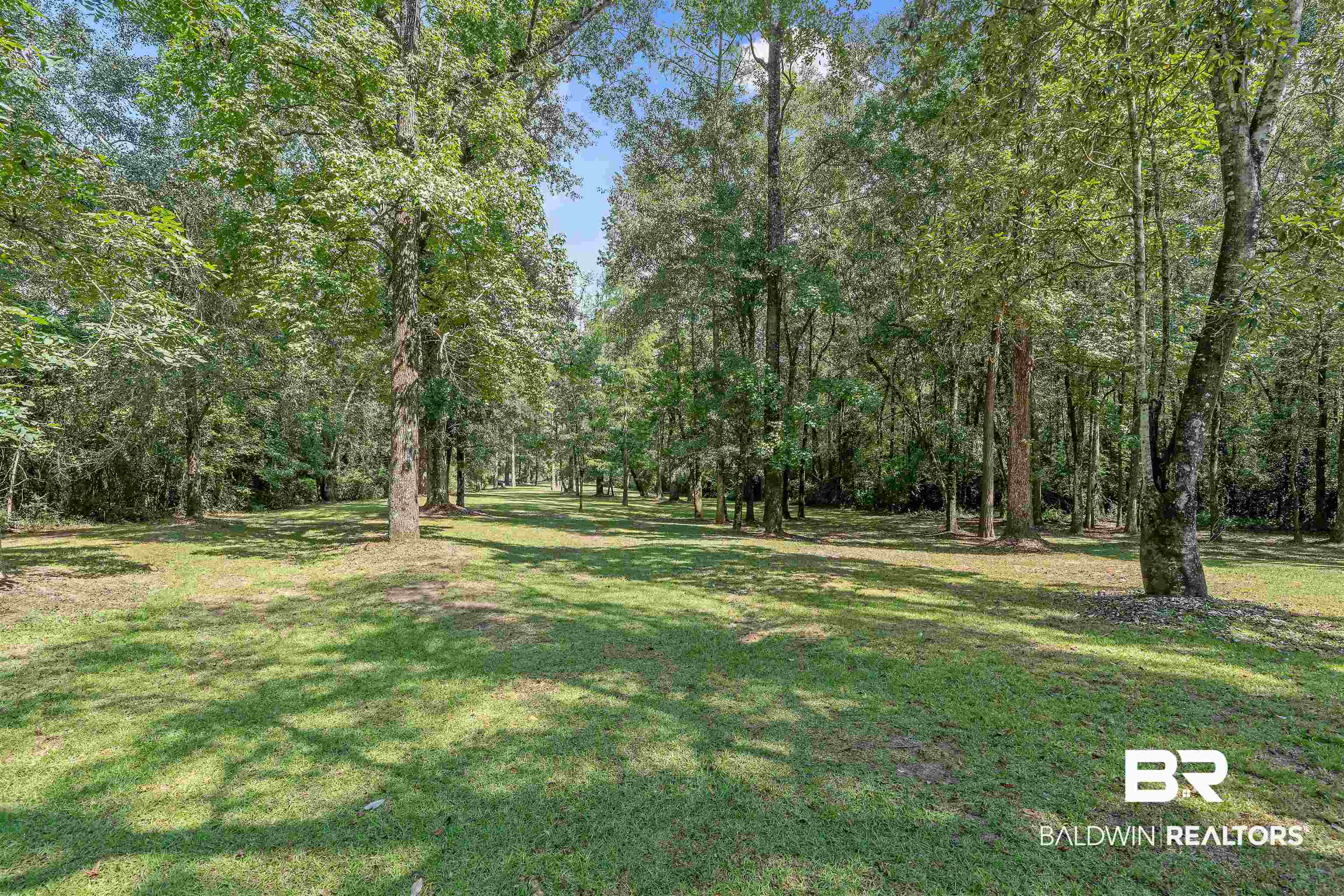 25591 Waterworld Road Robertsdale, AL 36567 - Photo 11 of 33 View of yard