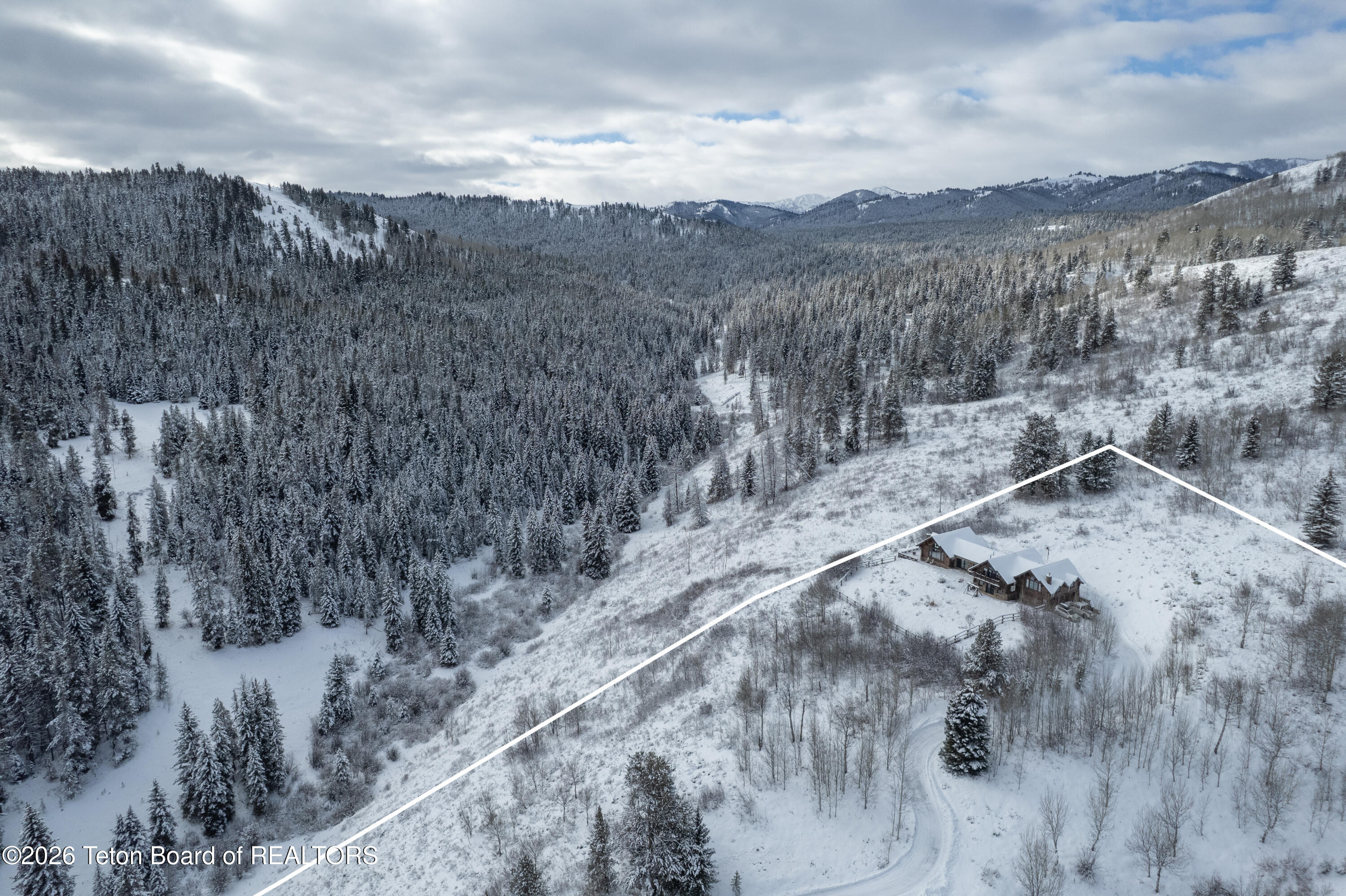 4020 Bronco Road Wilson, WY 83014 - Photo 4 of 39 Forest Outline