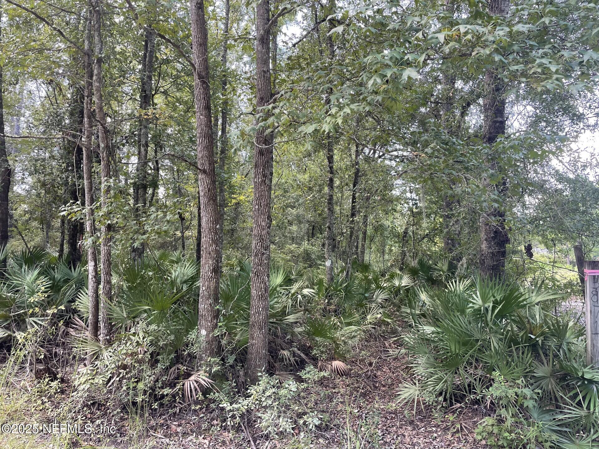 3871 Hamp Hicks Road Bryceville, FL 32009 - Photo 2 of 2 hamp hicks front