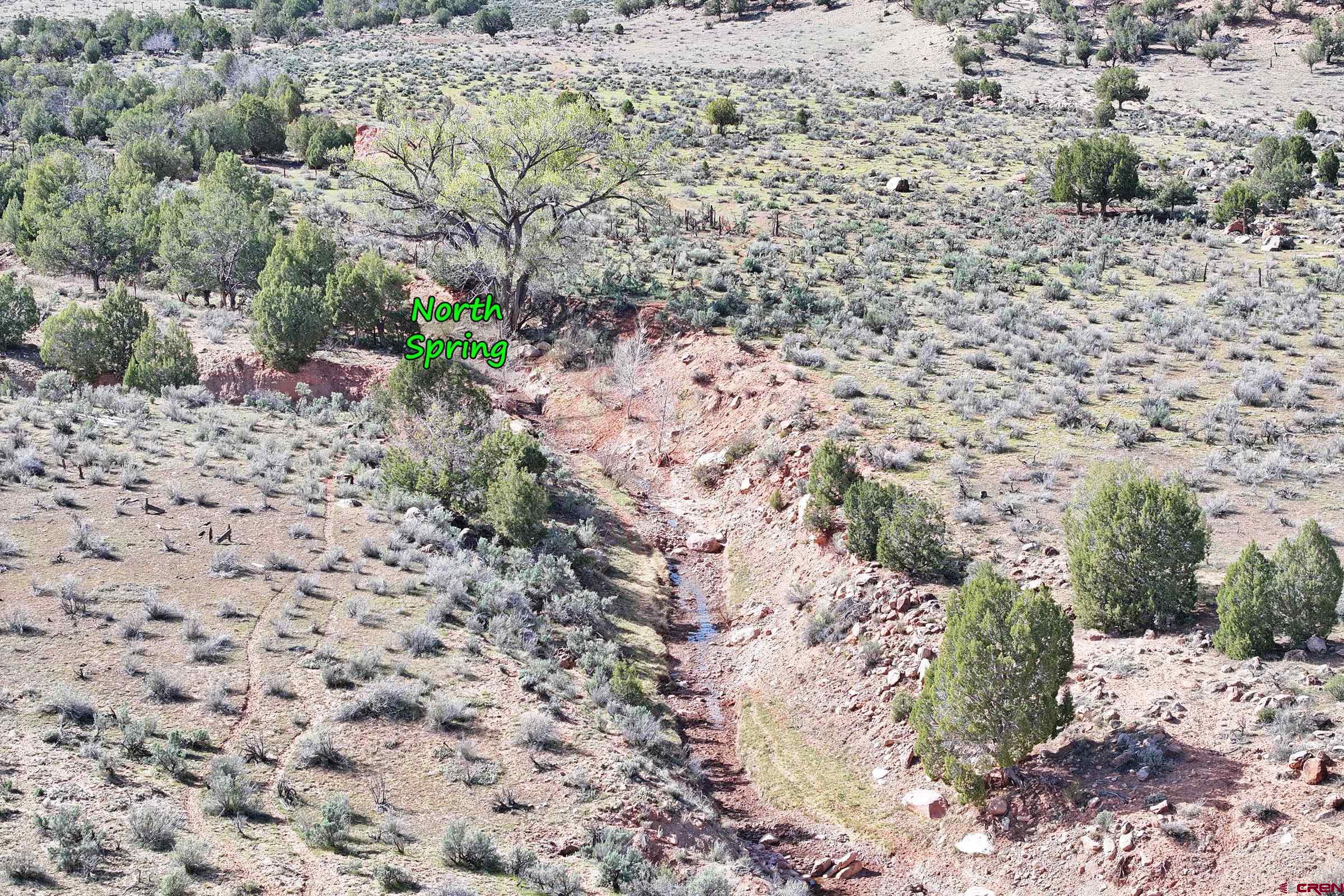 Tbd Tbd Tbd Gateway Paradox, CO 81429 - Photo 19 of 34 a view of a dry yard covered with trees