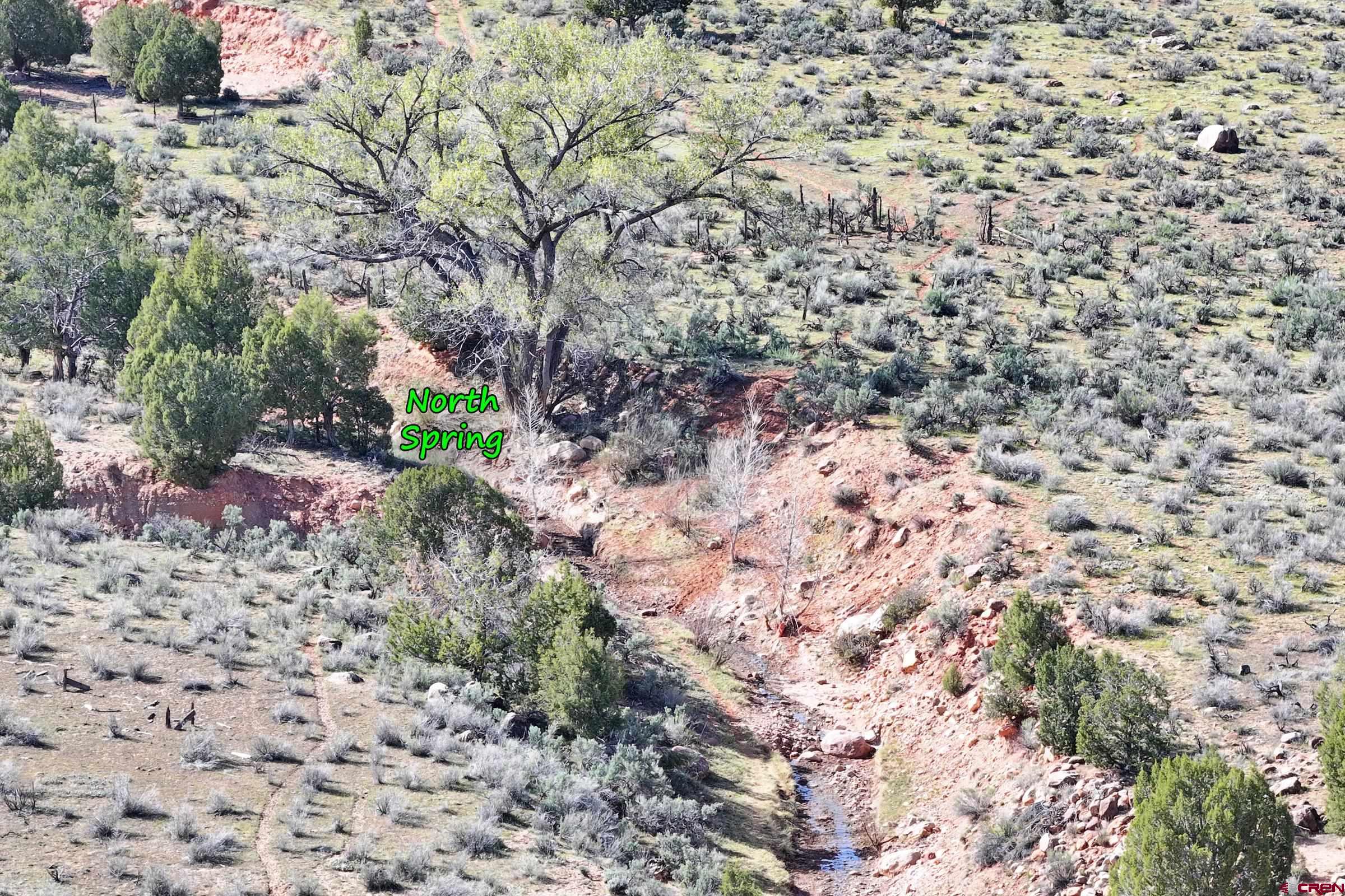 Tbd Tbd Tbd Gateway Paradox, CO 81429 - Photo 20 of 34 a view of a yard with a tree