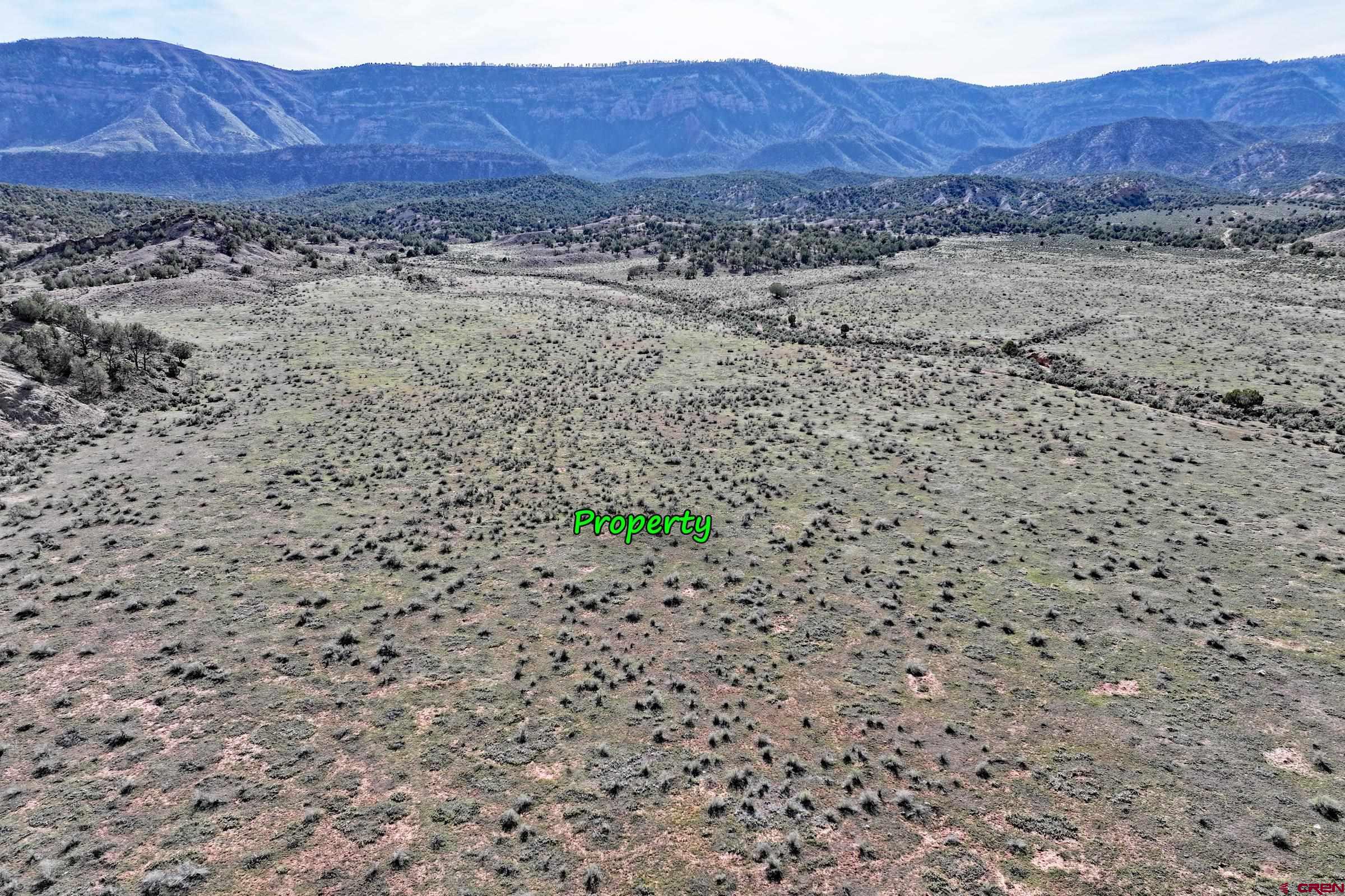 Tbd Tbd Tbd Gateway Paradox, CO 81429 - Photo 25 of 34 a view of wooden floor