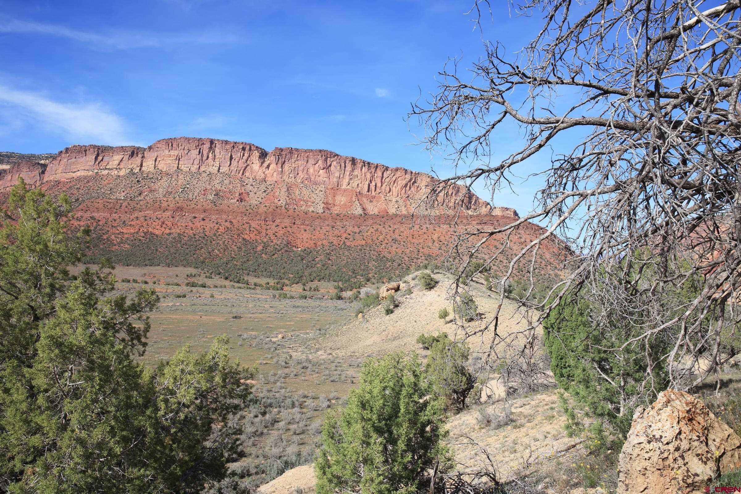 Tbd Tbd Tbd Gateway Paradox, CO 81429 - Photo 33 of 34 a view of ocean view with large trees