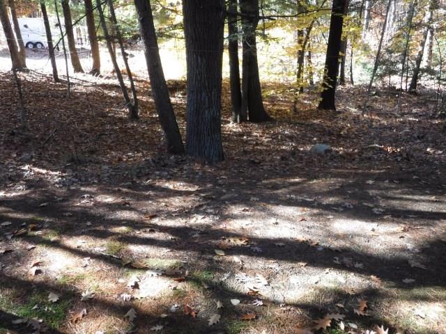 88 Greenfield Road Waterboro, ME 04061 - Photo 5 of 22 Photo