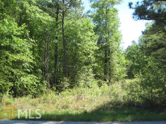 428 Pocket Road Braselton, GA 30517 - Photo 1 of 1 Gallery Image 1
