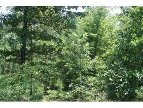 3 Colvin - Kennedy Road Lincolnton, GA 30817 - Photo 1 of 1 Main View