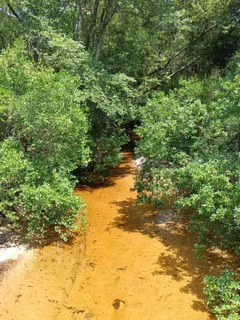 $109,000 | Xxx King Lake Road, DeFuniak Springs, FL 32433