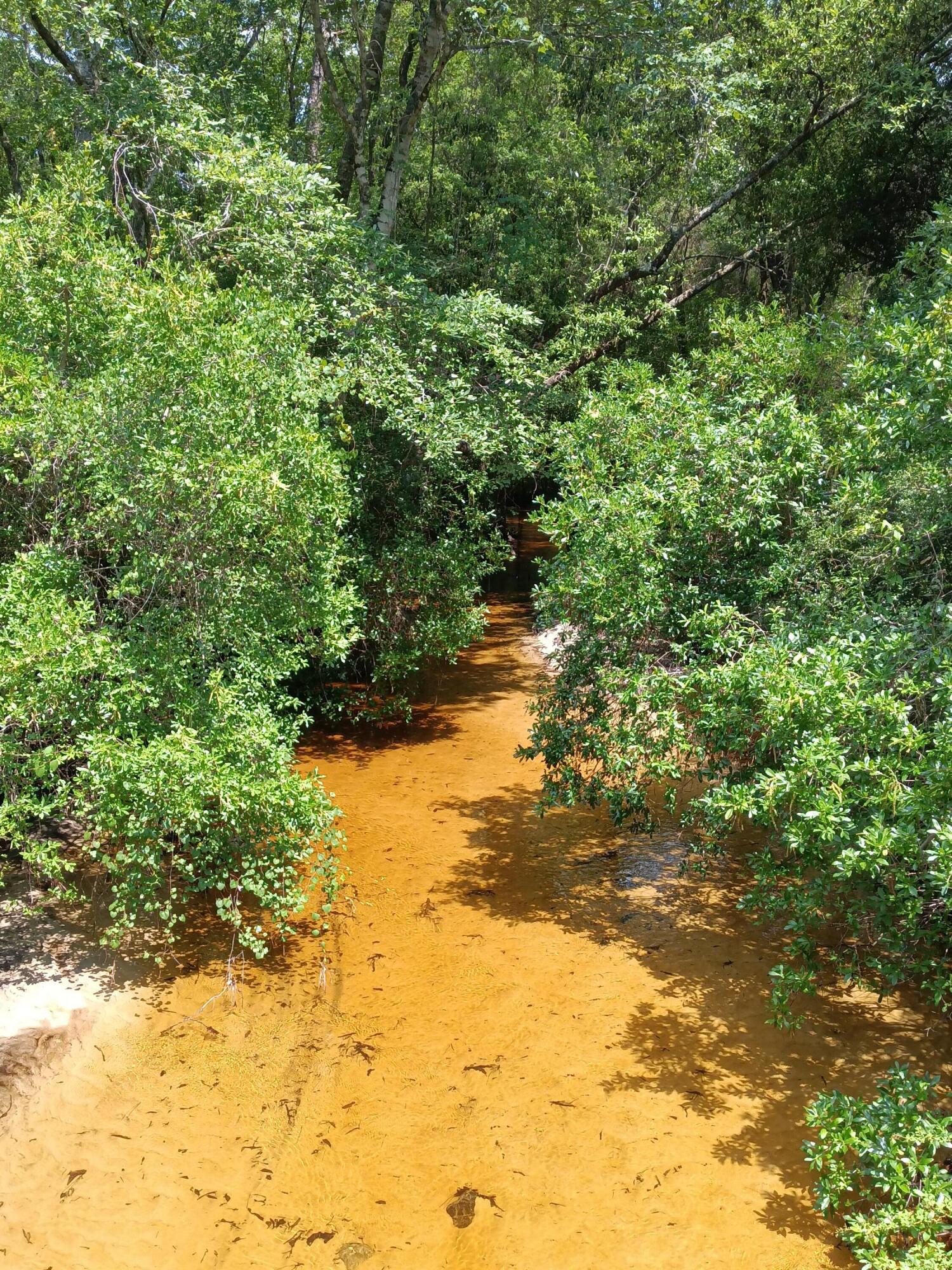 Xxx King Lake Road DeFuniak Springs, FL 32433 - Photo 5 of 5 a view of a lake view