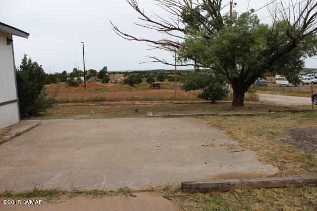 895 South Tanner Lane Snowflake, AZ 85937 - Photo 10 of 32 a view of a yard with an tree