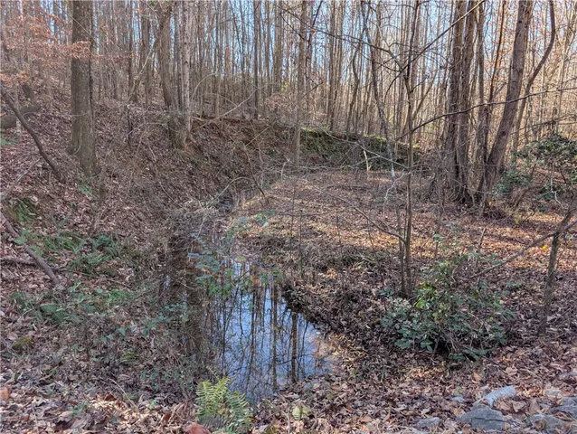 $720,000 | 2475 Pumpkintown Highway, Pickens, SC 29671