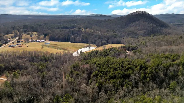 $720,000 | 2475 Pumpkintown Highway, Pickens, SC 29671