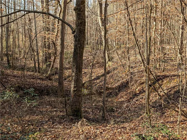 $720,000 | 2475 Pumpkintown Highway, Pickens, SC 29671