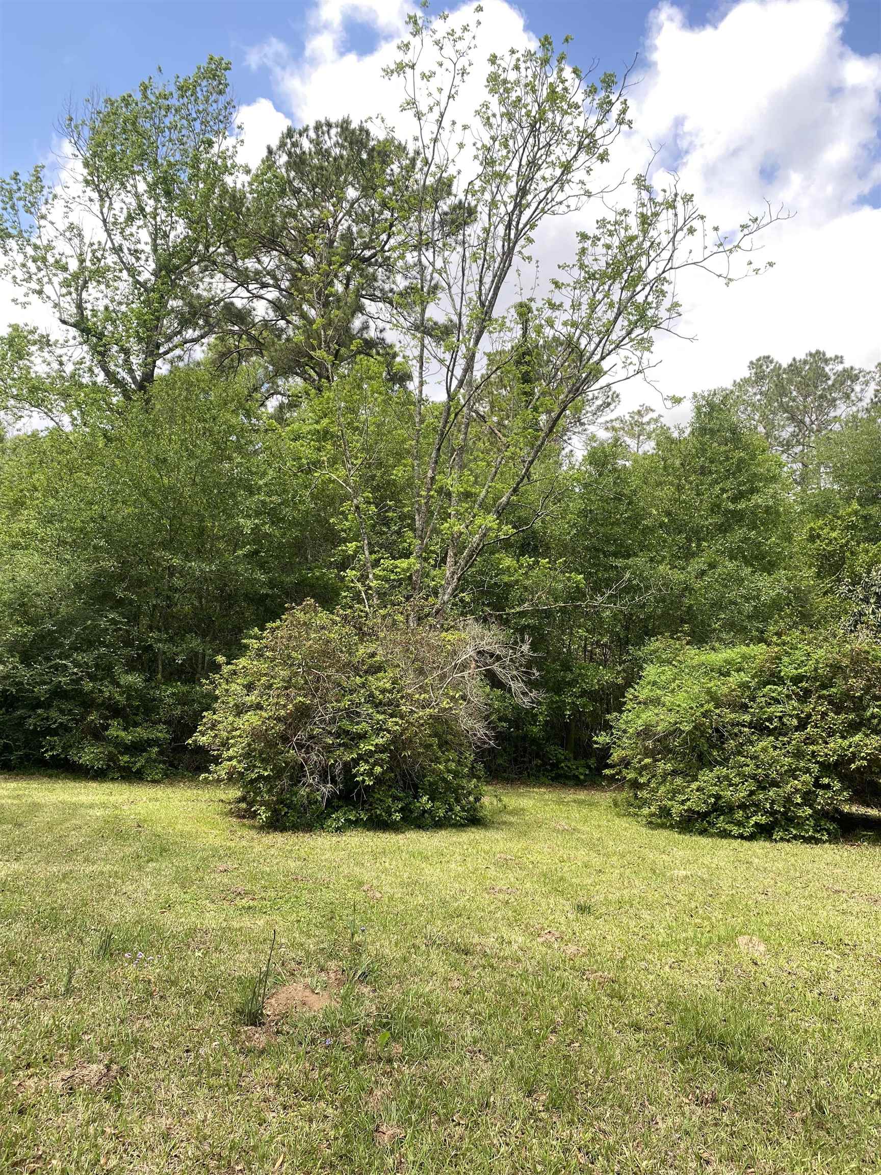 8456 McGallion Road Silsbee, TX 77656 - Photo 17 of 20
