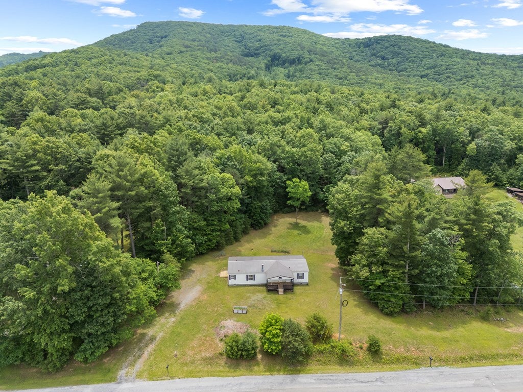 313 Lanter Road Speedwell, VA 24374 - Photo 49 of 55 Gallery Image 49