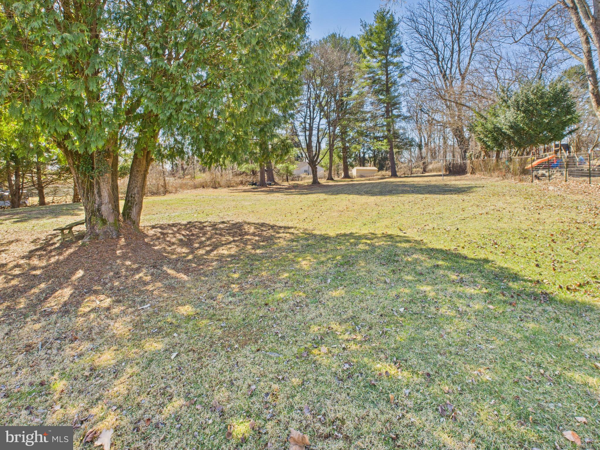 8005 Windsor Mill Road Baltimore, MD 21244 - Photo 34 of 39 a view of yard with trees