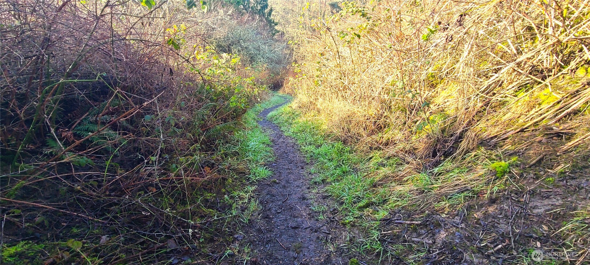 804 Cameron Road Sequim, WA 98382 - Photo 19 of 26