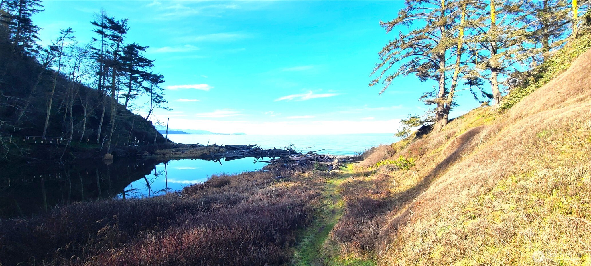 804 Cameron Road Sequim, WA 98382 - Photo 20 of 26