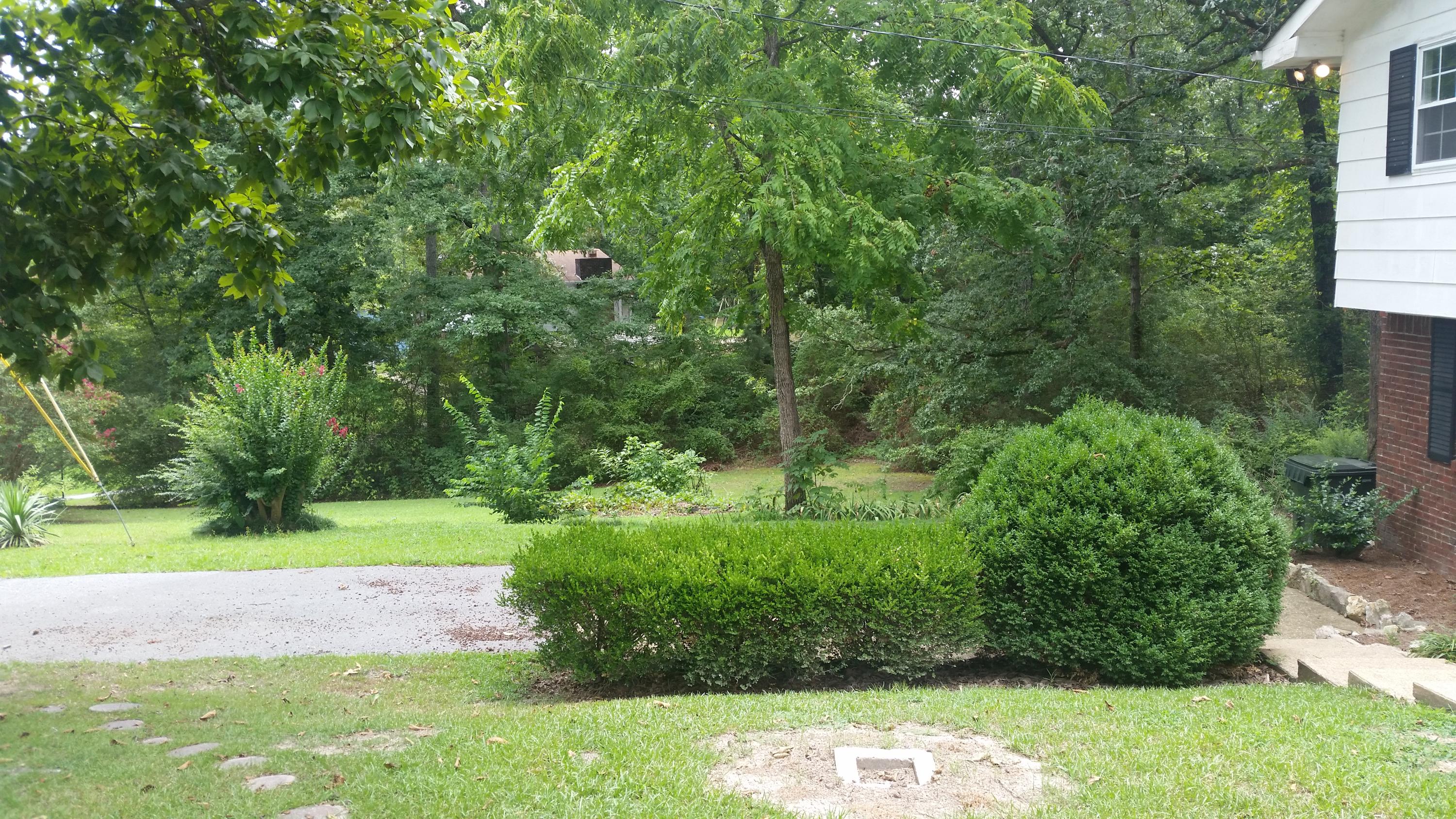 408 Jacobs Road Ringgold, GA 30736 - Photo 4 of 16 20160810_124458