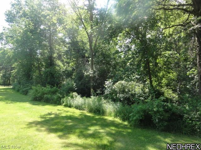 3053 Austintown Warren Road Mineral Ridge, OH 44440 - Photo 18 of 19 Gallery Image 18